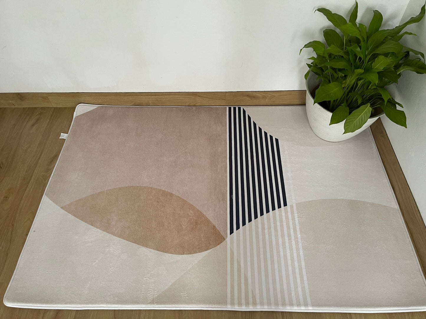 Kameleon Abstract Art 28 Rug